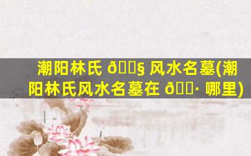 潮阳林氏 🐧 风水名墓(潮阳林氏风水名墓在 🕷 哪里)